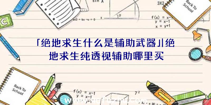 「绝地求生什么是辅助武器」|绝地求生纯透视辅助哪里买